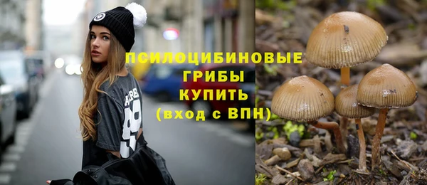 а пвп мука Богданович