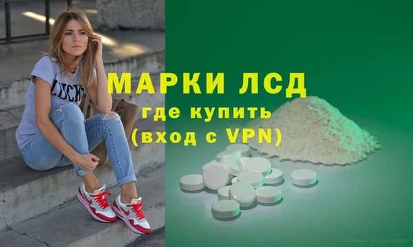 spice Богородицк