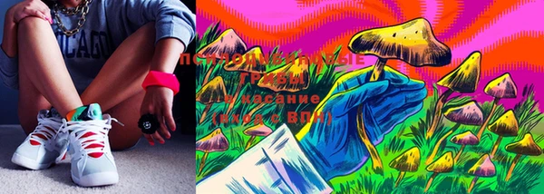 марки lsd Богородск