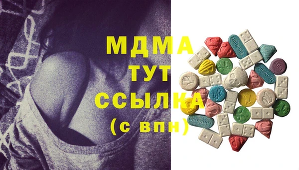 spice Богородицк