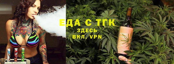 spice Богородицк