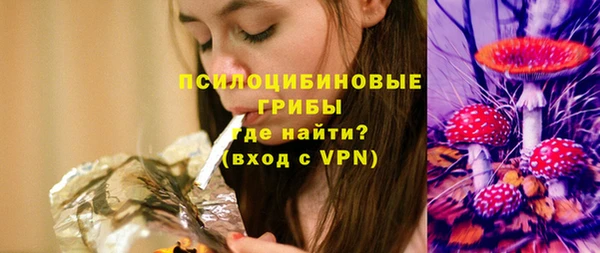 spice Богородицк