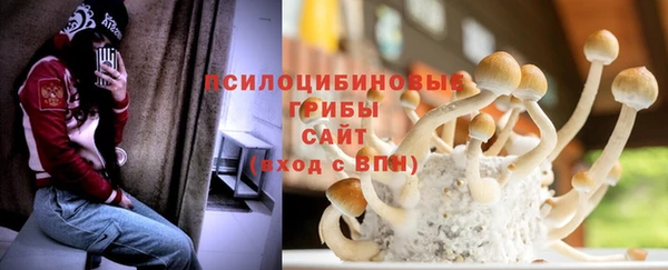 spice Богородицк