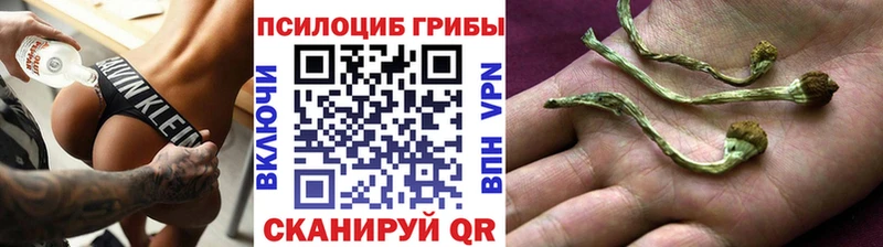 kraken ONION  Щучье  Галлюциногенные грибы Magic Shrooms 